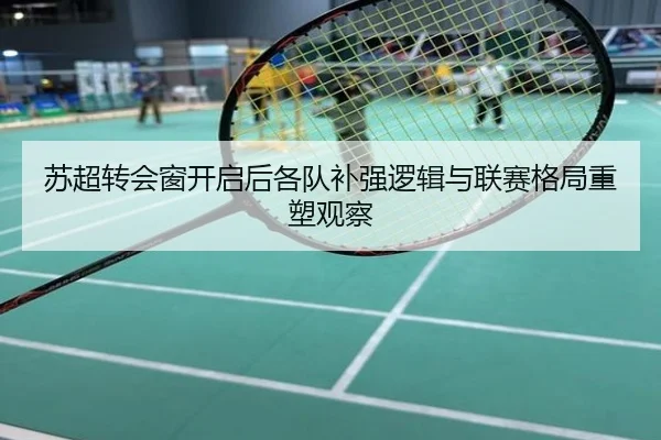 苏超转会窗开启后各队补强逻辑与联赛格局重塑观察