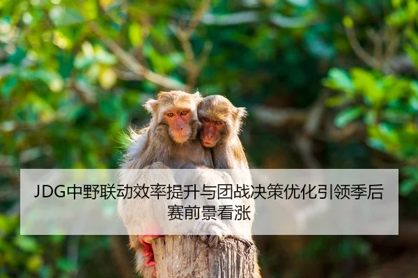 JDG中野联动效率提升与团战决策优化引领季后赛前景看涨
