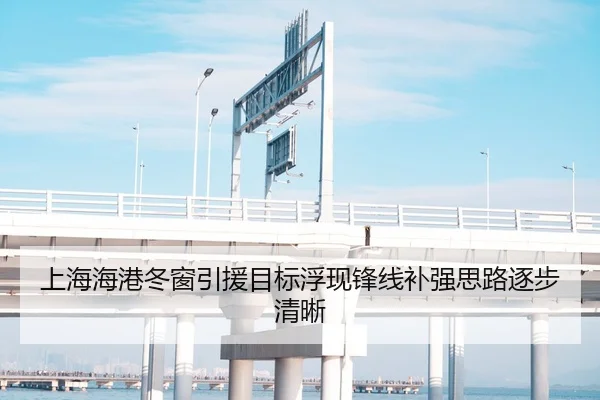 上海海港冬窗引援目标浮现锋线补强思路逐步清晰